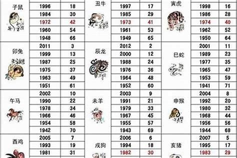 2003年出生属什么|2003 年出生属什么生肖